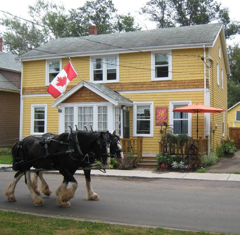 Aloha Tourist Charlottetown